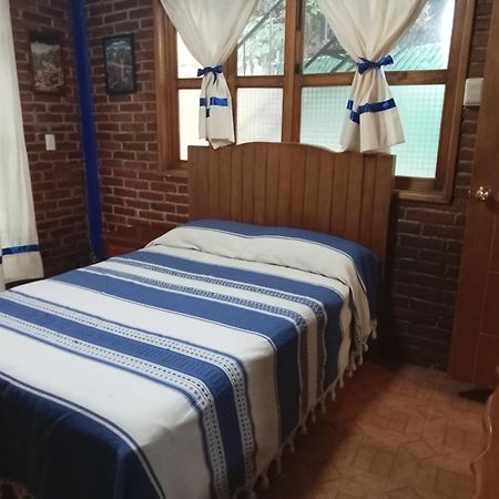Coyoacan Departamento Tipo Colonial Mexikóváros Kültér fotó