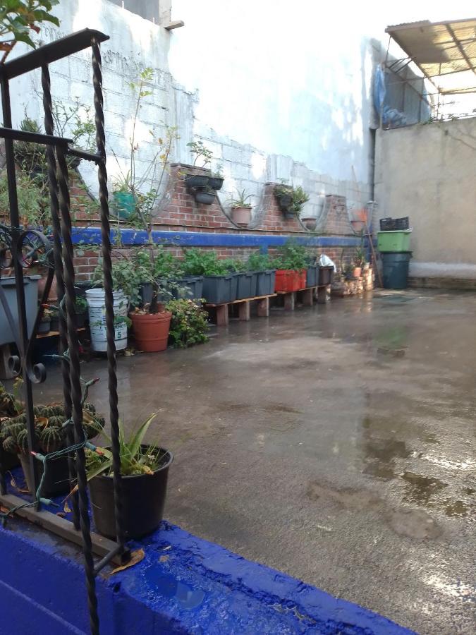 Coyoacan Departamento Tipo Colonial Mexikóváros Kültér fotó