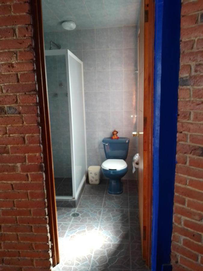 Coyoacan Departamento Tipo Colonial Mexikóváros Kültér fotó